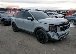 کیا تێلوراید